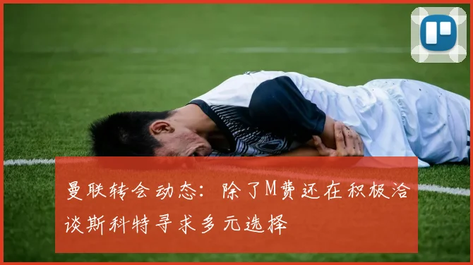 曼联转会动态：除了M费还在积极洽谈斯科特寻求多元选择